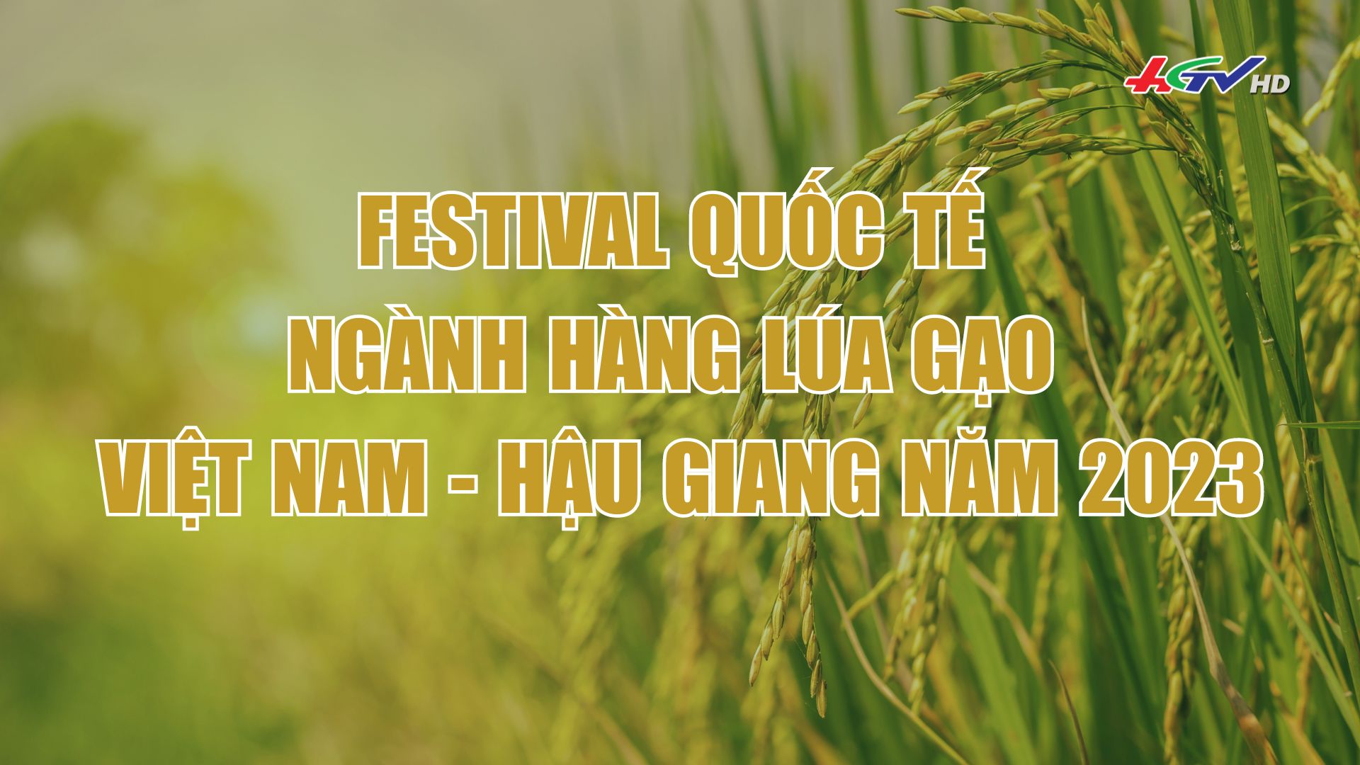 Festival quốc tế ngành hàng lúa gạo Việt Nam Hậu Giang năm 2023