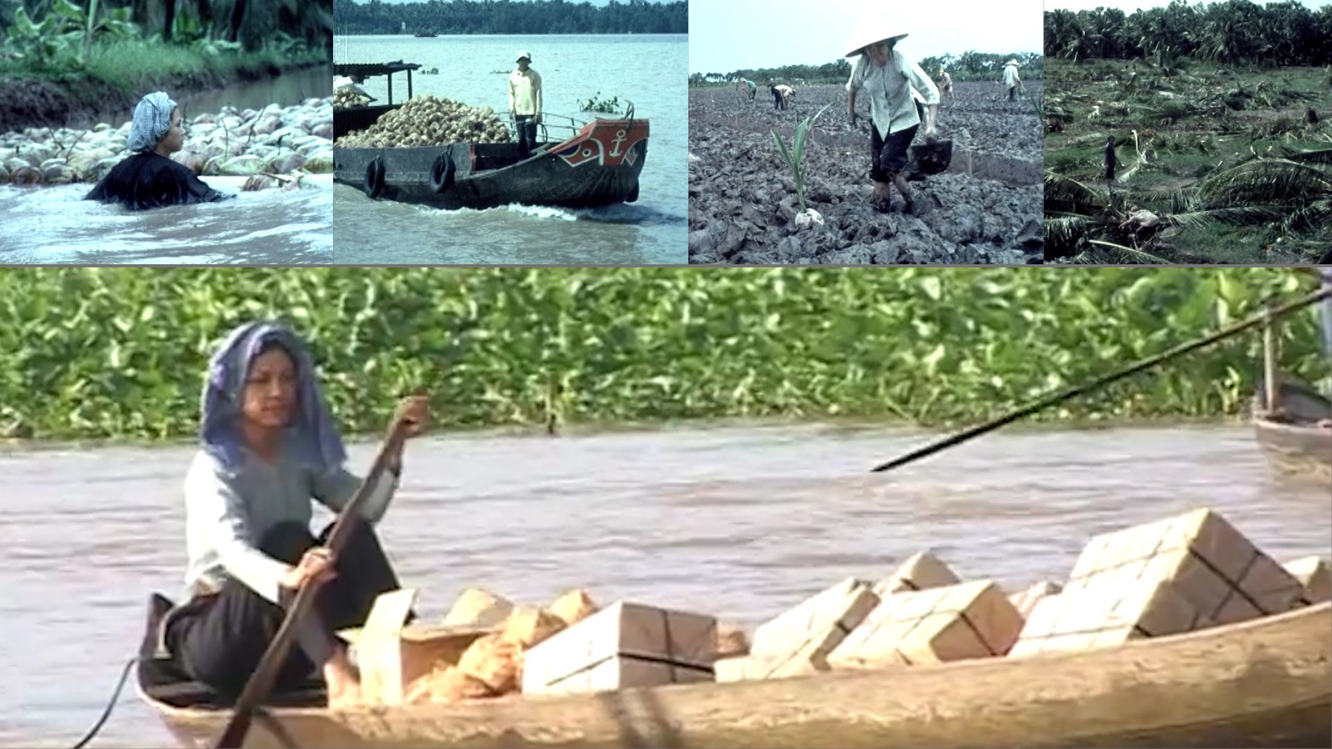 bộ phim gia mua một thượng đế