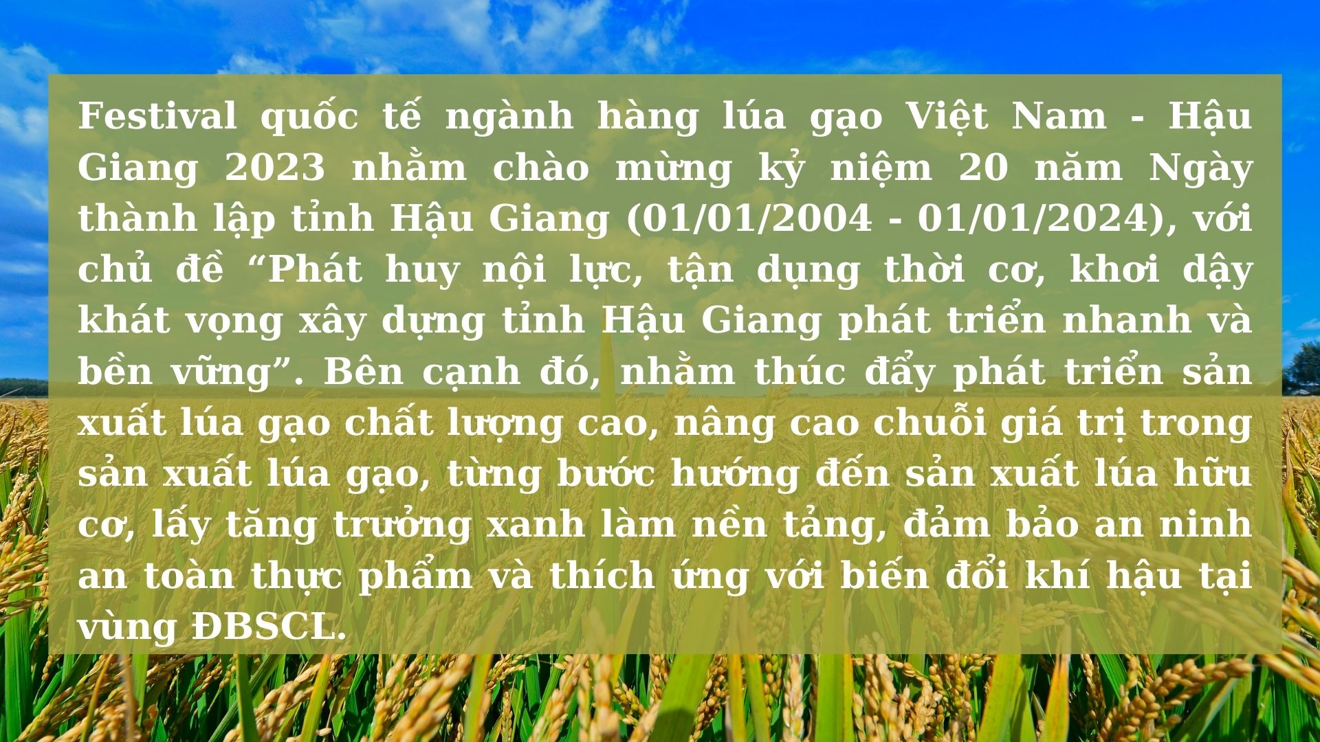 festival lúa gạo hậu giang 2023