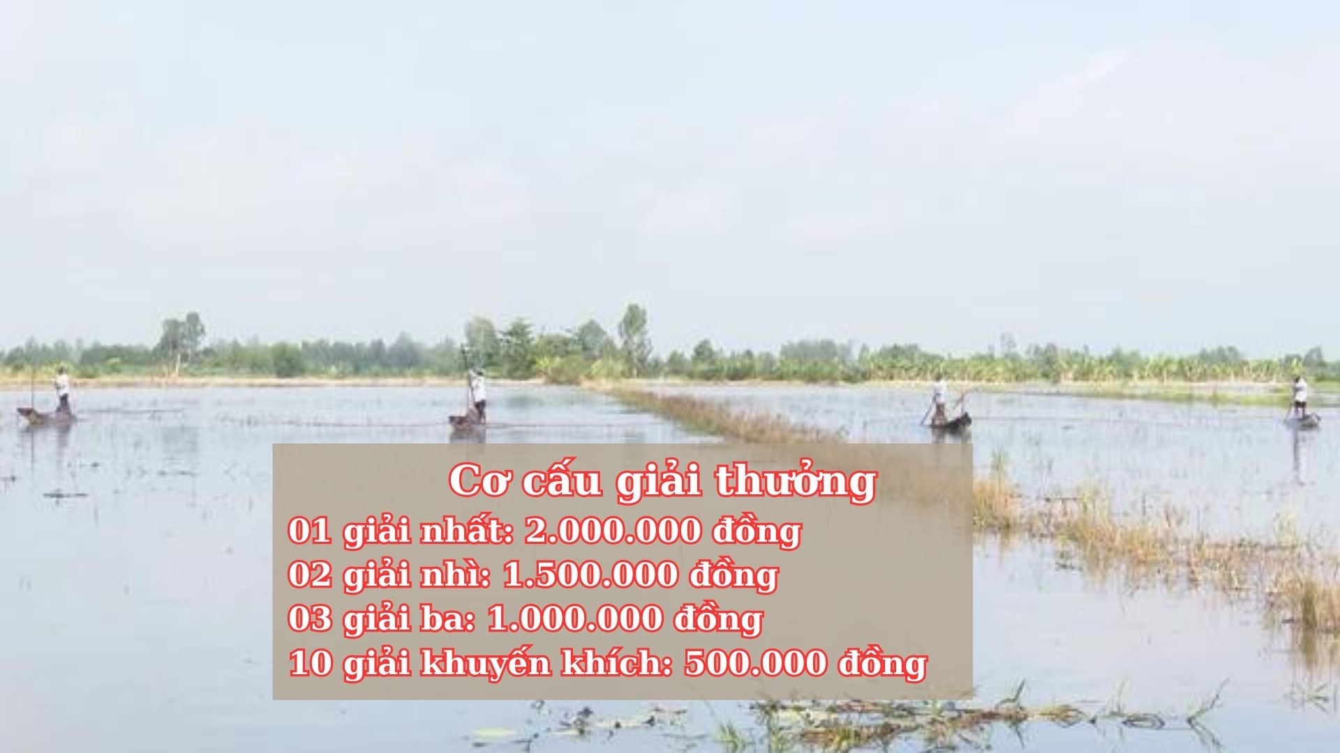 xã Hòa Mỹ tổ chức hội thi đẩy côn mùa nước nổi