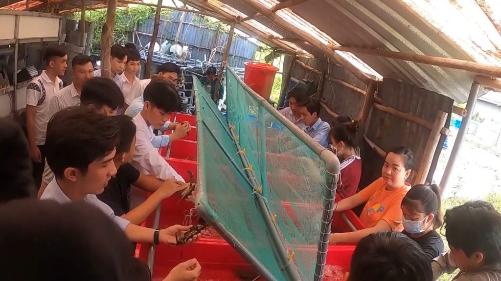 nuôi vỗ béo cua bằng hệ thống tuần hoàn nước