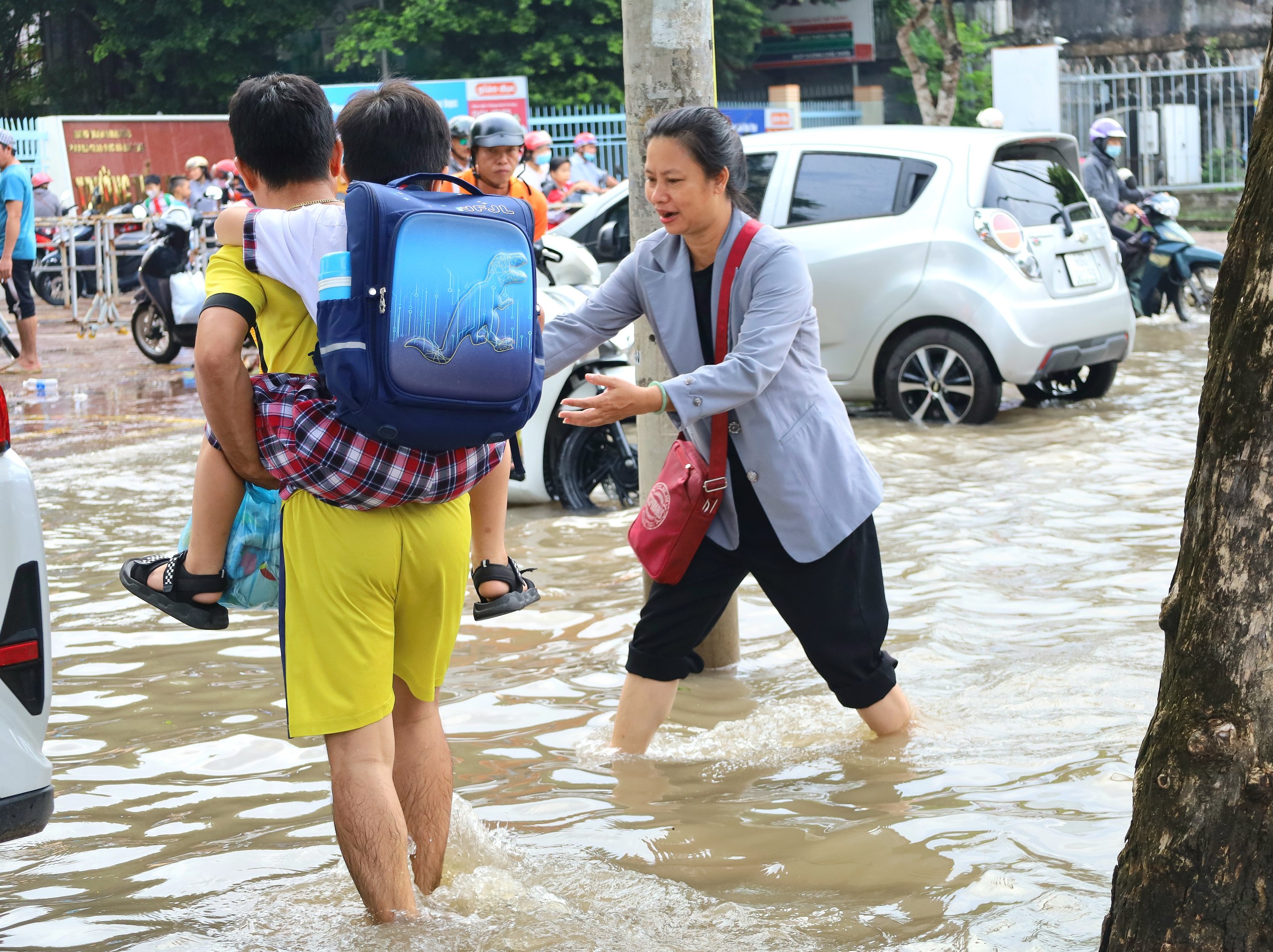 triểu cường