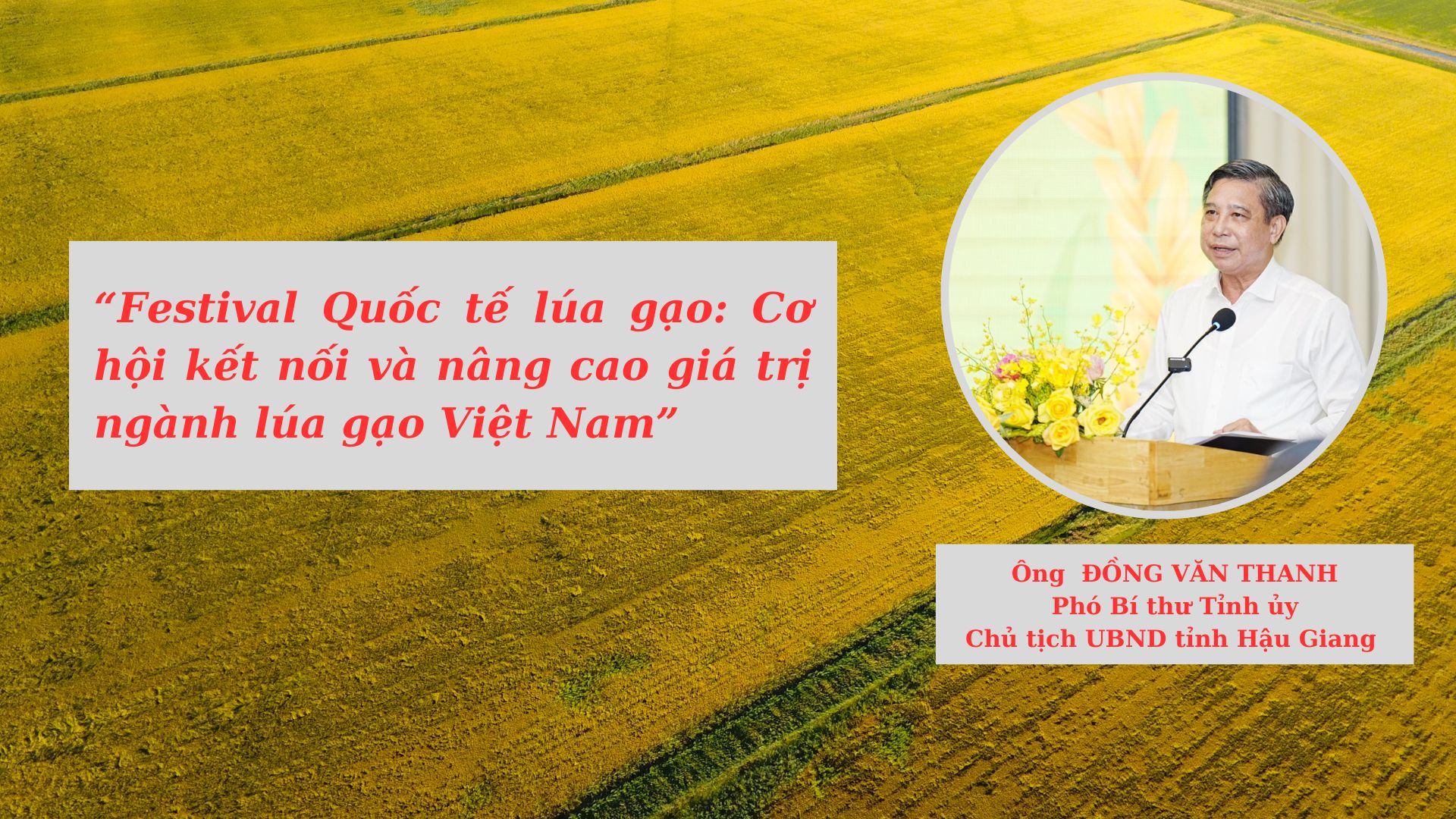 festival lúa gạo Việt Nam 2023