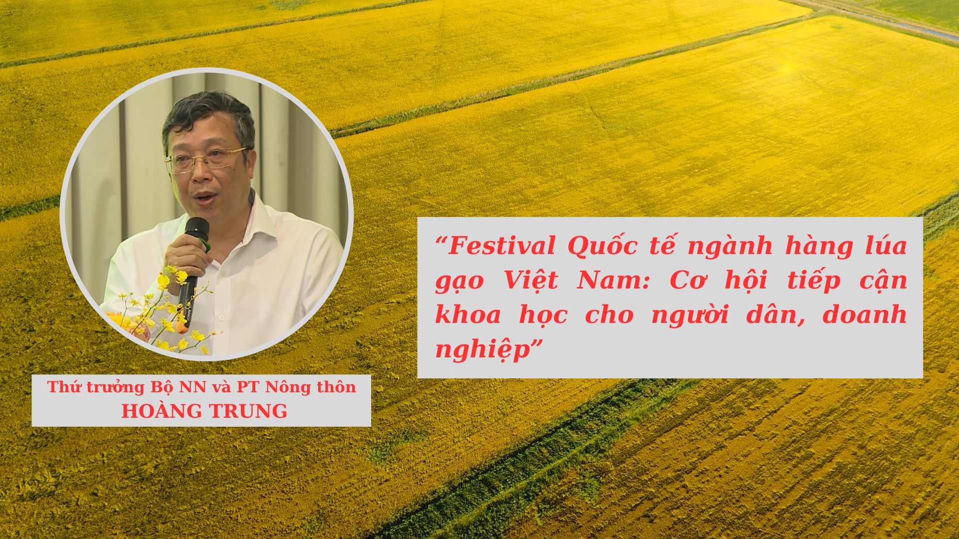 Festival lúa gạo hậu giang 2023