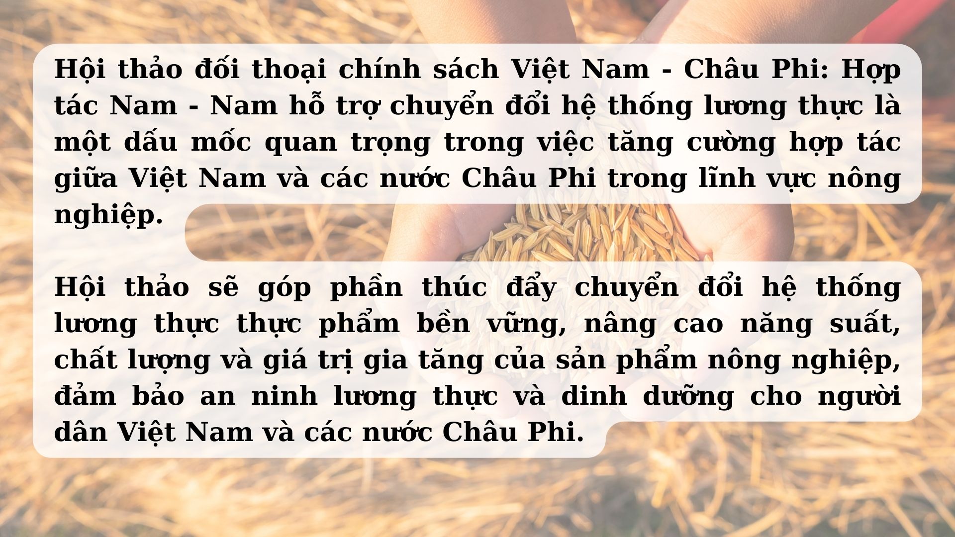 fetival lua gao VIET NAM (1)