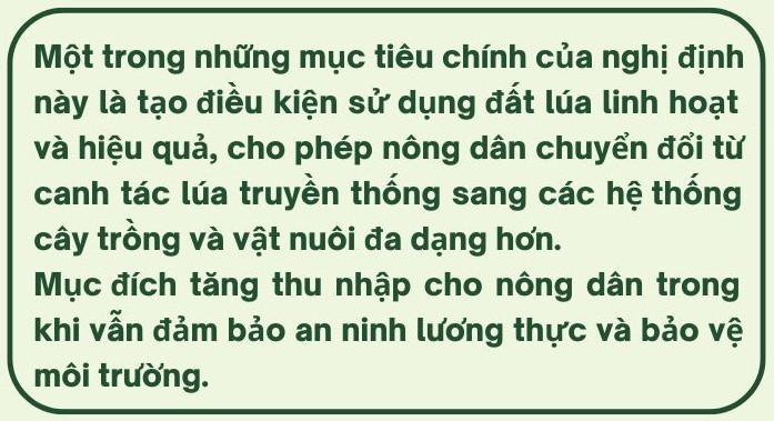 chuyển-đất-lúa-sang-đất-nông-nghiệp