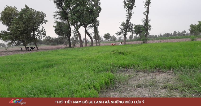 dự báo thời tiết nam bộ hôm nay