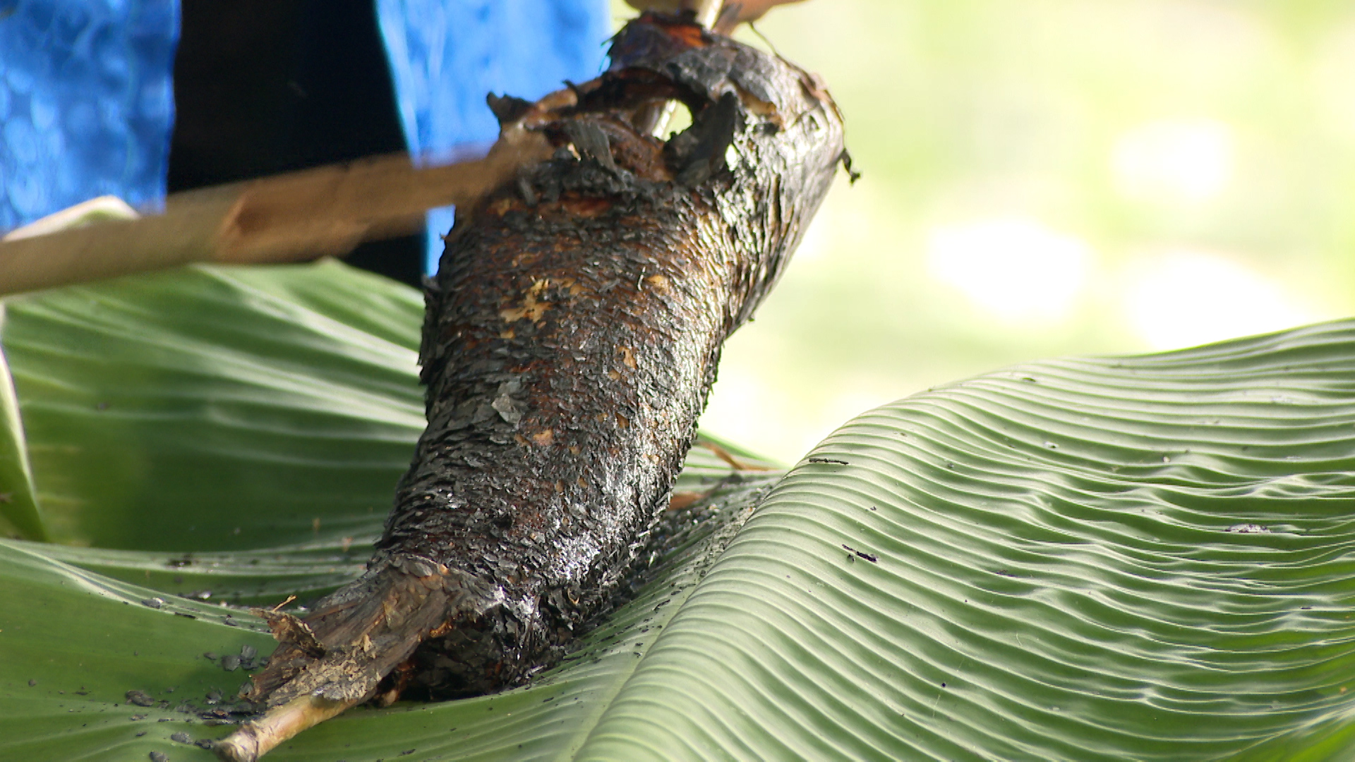 cá-lóc-nướng